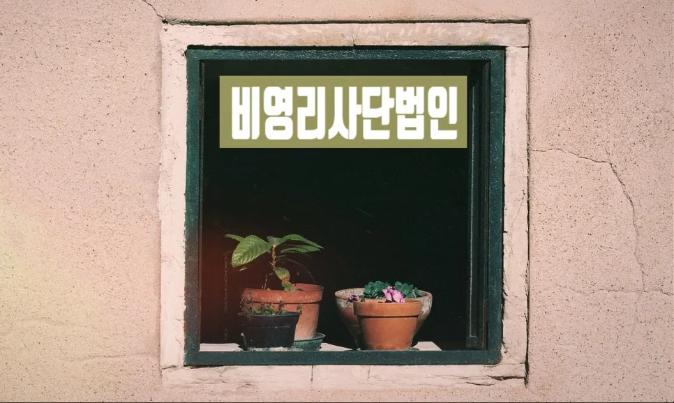 비영리 사단법인 설립 절차 및 요건 2026: 행정사 핵심 가이드