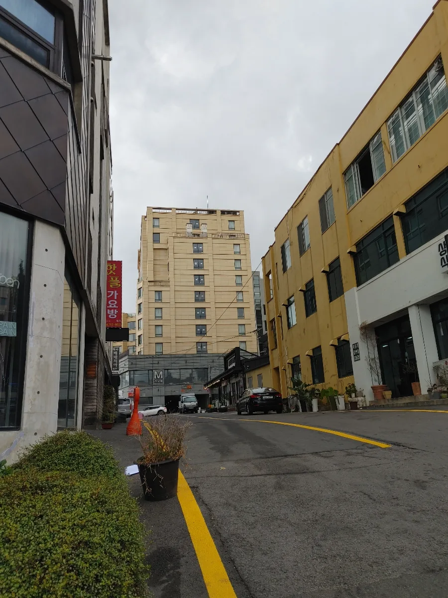 천지연폭포 2026: 세계유산 제주, 방문 전 꼭 알아야 할 3가지