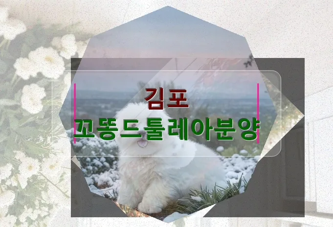 김포 꼬똥 드 툴레아 분양가 현실적 가이드 2026