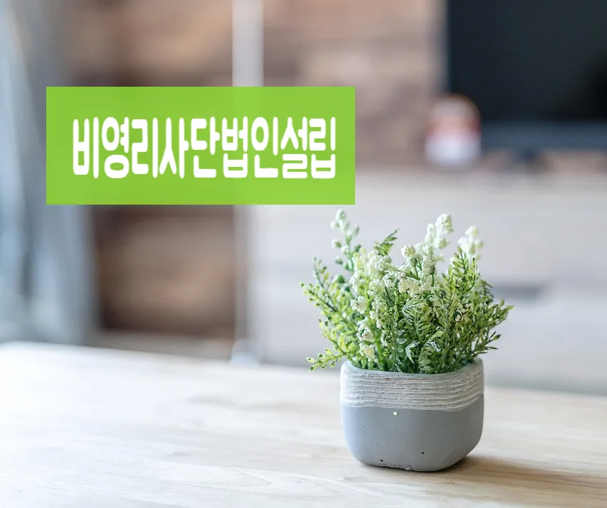 비영리사단법인 설립 허가 기준 2026: 주무관청 심사 완벽 분석