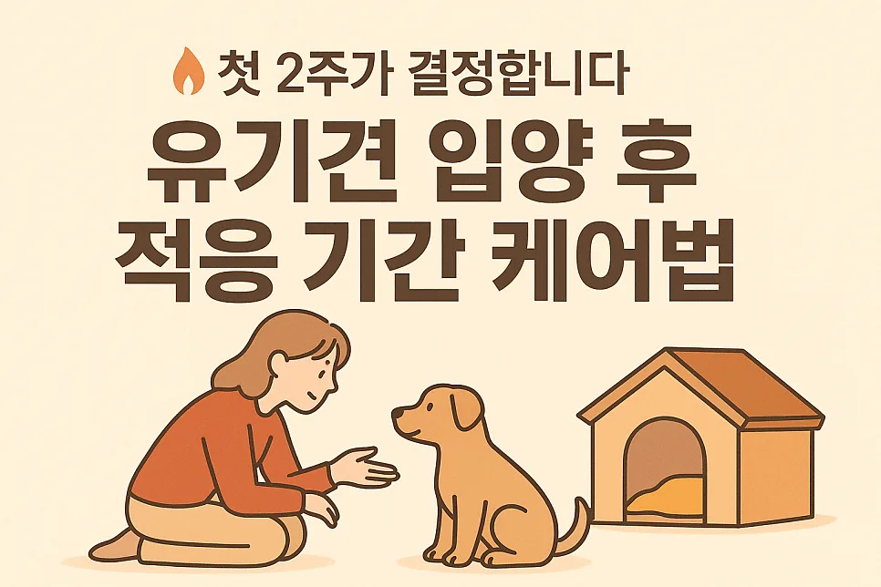 유기견 입양 후 2주 적응 완벽 가이드 2026: 초보 보호자 필독!