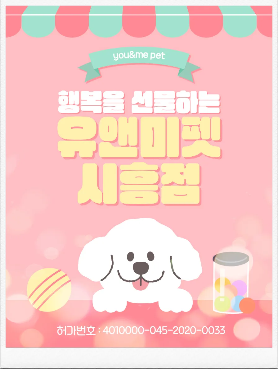 부천 말티푸 분양 2026: 유앤미펫 경험 기반 장단점 총정리