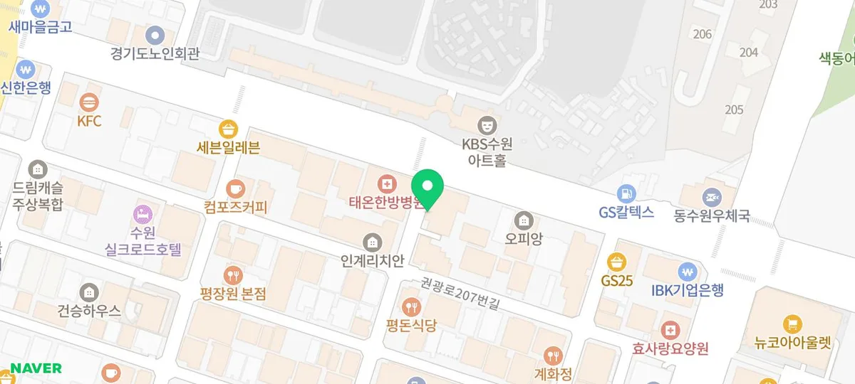 영통 애견 분양 시 꼭 확인해야 할 5가지 기준 2026