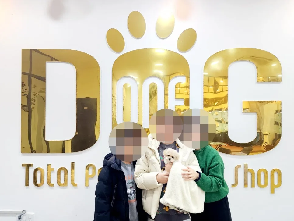 세종시 강아지 분양 2026: 토이 푸들 입양 성공 후기 & 추천