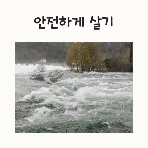 2026년 집중호우 대비: 물가·천재지변 위험 지역 피하는 법