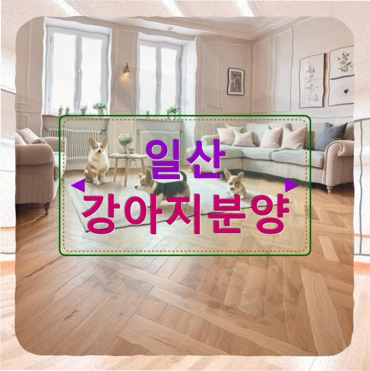 일산 강아지 분양 후 예상 못한 현실: 사고와 책임 2026