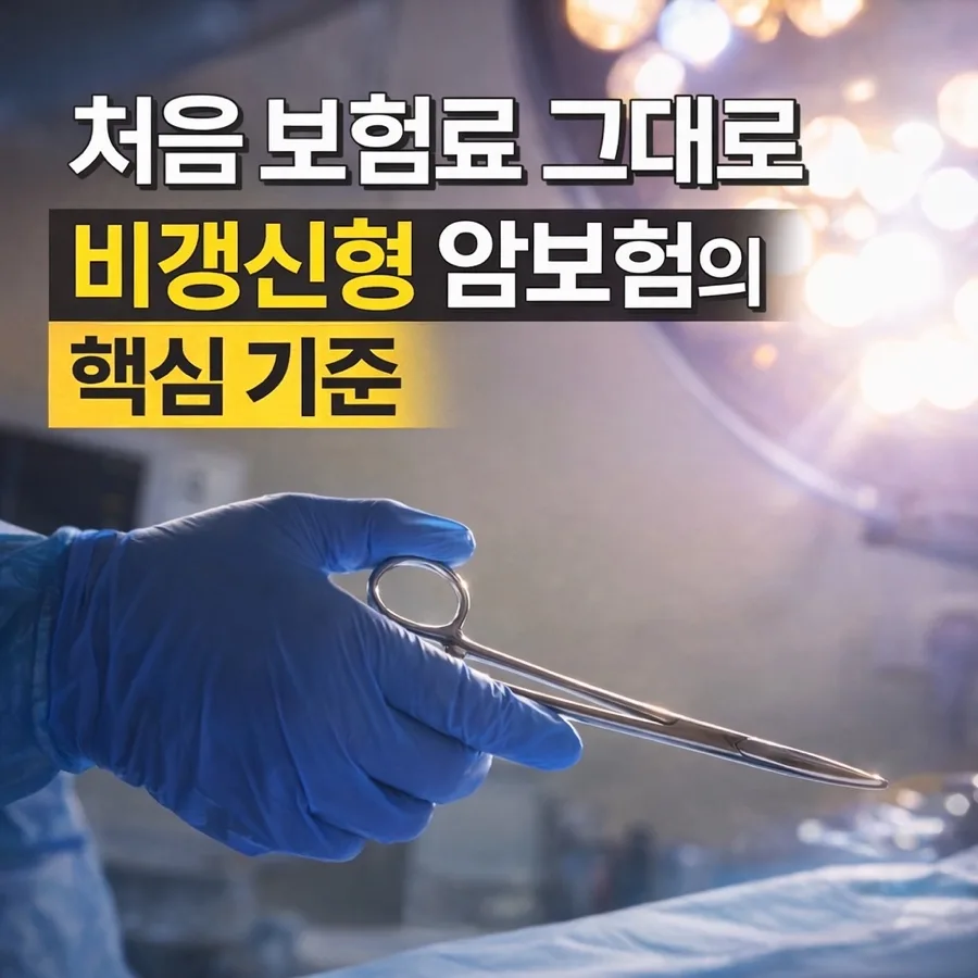 비갱신형 암보험, 보험료 1원도 안 오르는 비밀 2026년 총정리
