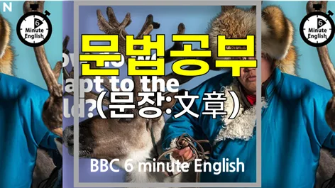 추위에 적응하는 법 2026: BBC 영어 문법 핵심 정리