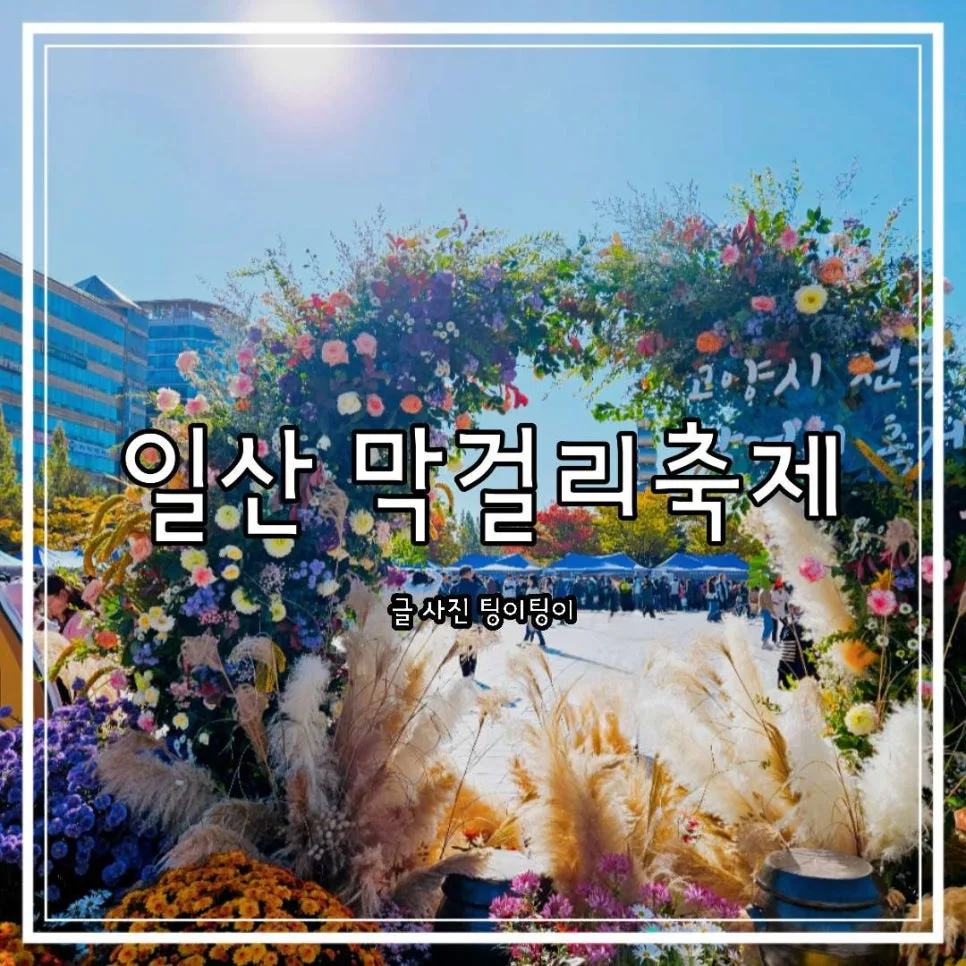 Ilsan Makgeolli Festival 2026: Your Guide to Parking & Best Brews