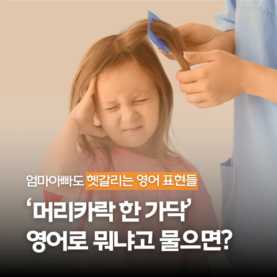 영어로 '머리카락 한 가닥'은? 일상 표현 2026년 총정리