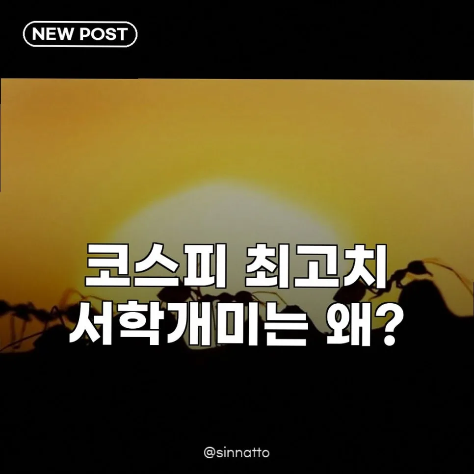 코스피 최고치에도 서학개미는 미국 증시로? 2026년 투자 전략