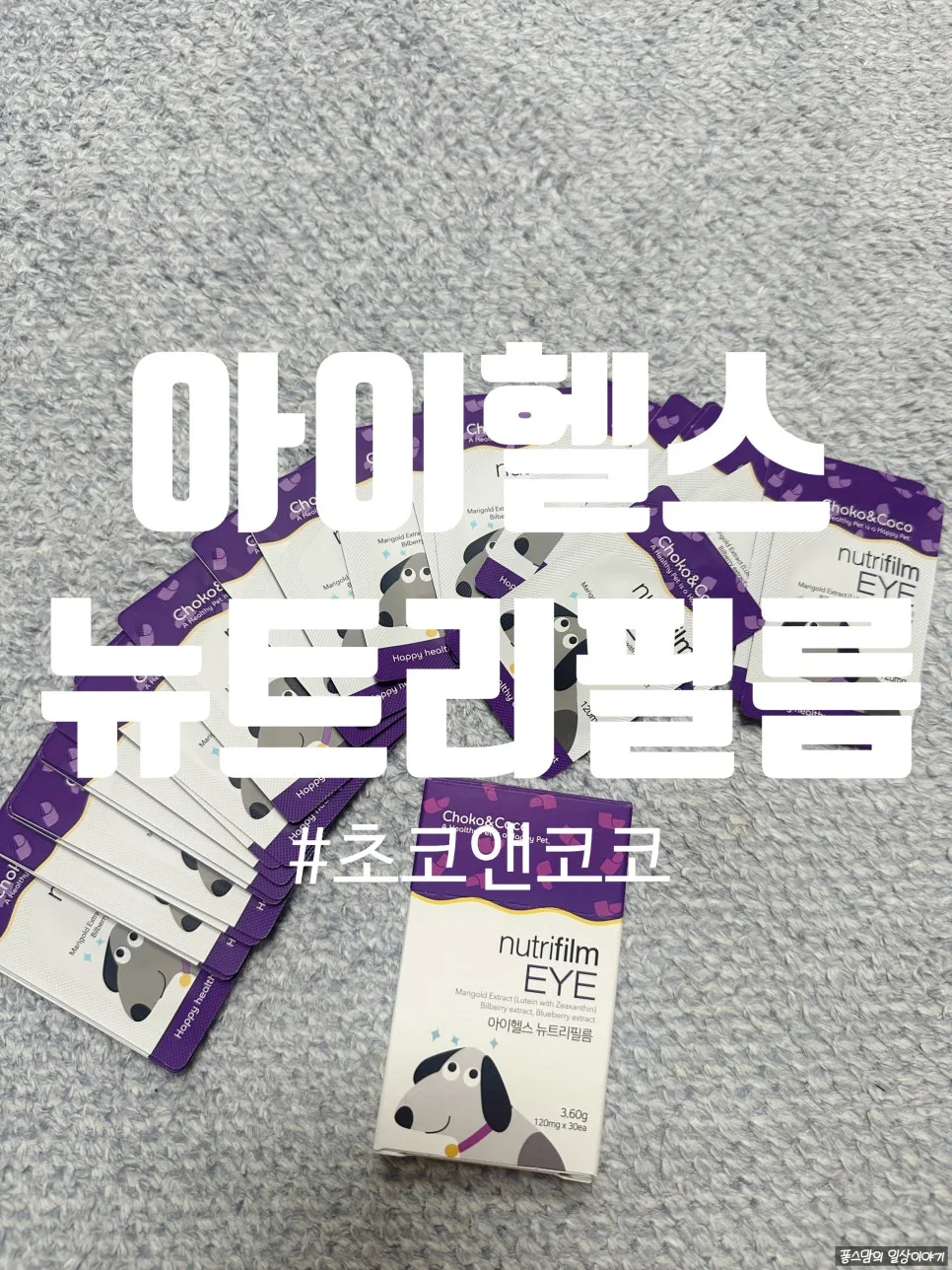 강아지 눈 영양제 아이헬스뉴트리필름 2026년 효과 분석