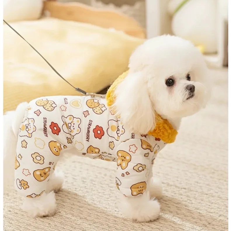 강아지 고양이 패딩 2026년, 따뜻함과 활동성을 동시에 잡는 법