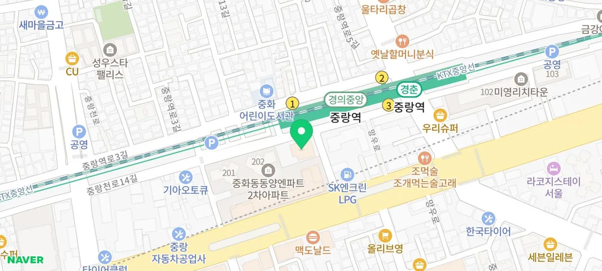 카바푸 입양 전 필수 체크리스트 2026: 매력적인 이유와 주의점