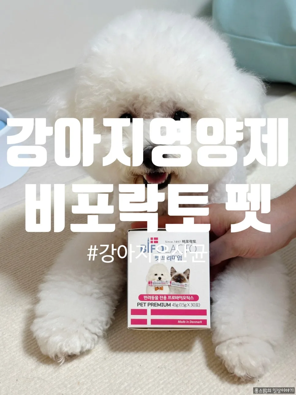 강아지 유산균 비포락토 펫, 변비 개선 효과와 급여법 2026