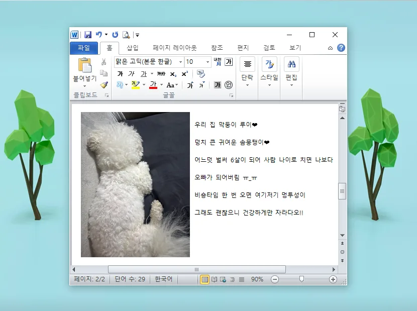 워드 그림 삽입, 회전, 자르기 완벽 가이드 2026