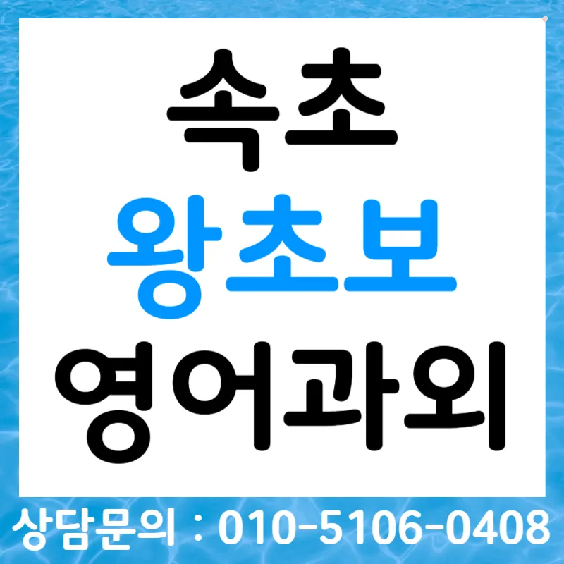 속초 왕초보 영어, 오픽/토스/비즈니스회화 2026년 완성 전략