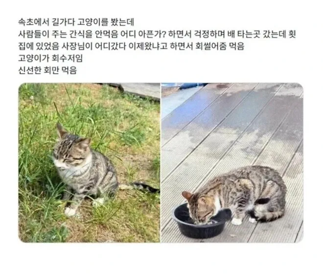 2026년 물류 산업 최신 동향: CJ대한통운, 한진 등 핵심 이슈 총정리 2