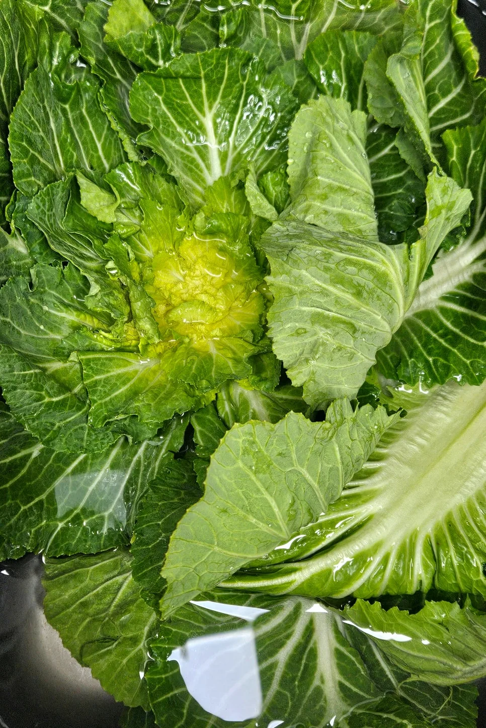Easy Spring Cabbage Salad Recipe 2026: Quick Korean Kitchen Tips
