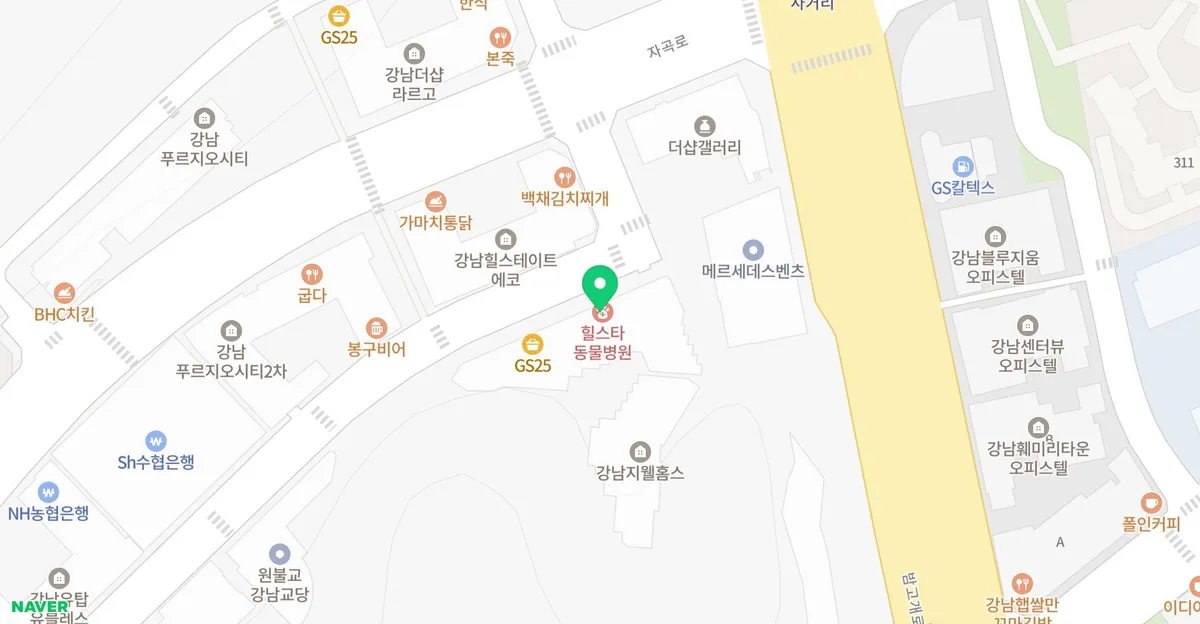 강아지 예방접종 필수 코스 2026: 자곡동 동물병원 비용, 주의사항 총정리