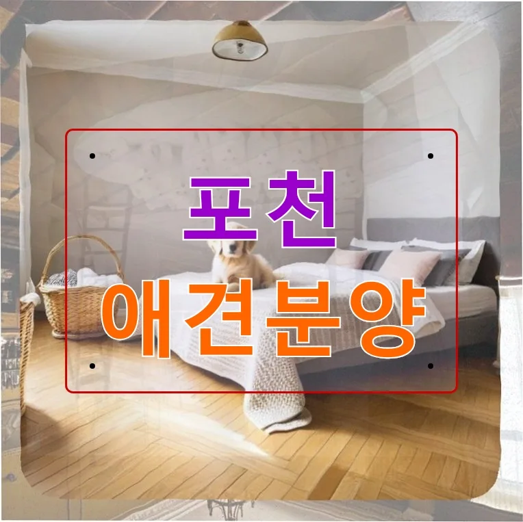 포천 애견분양: 털 안 빠지는 강아지 찾는 법 2026