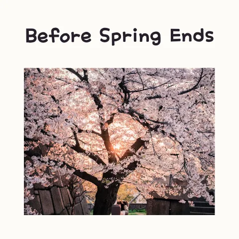 Before Spring Ends 2026: Wang OK Song Meaning & Lyrics Explained