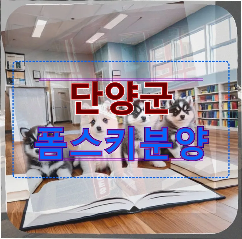 단양 폼스키 분양 현실 점검: 비용, 주의사항, 선택 가이드 2026