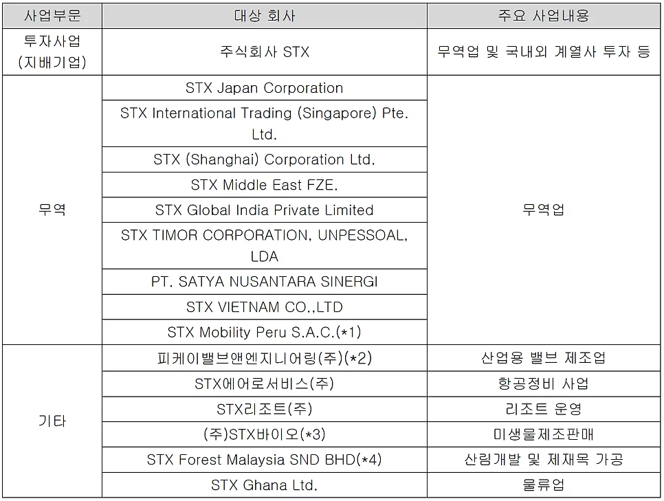 STX 사업보고서 2026: 투자 현황 및 재무 위험 분석