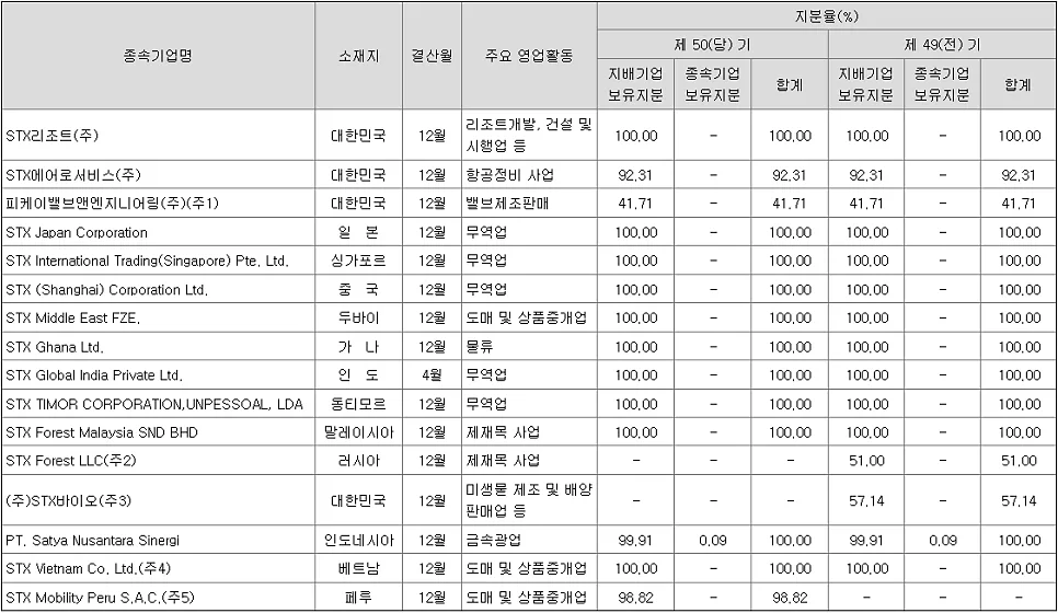 STX 사업보고서 2026: 투자 현황 및 재무 위험 분석 2