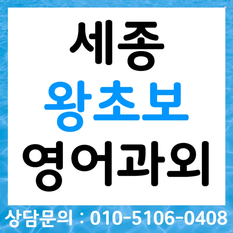 세종 왕초보 영어, 오픽/토스 목표 달성 로드맵 2026