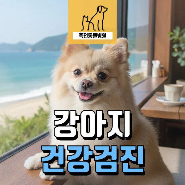 7살 강아지 부신 이상 및 담낭 슬러지, 조기 발견 중요성 2026