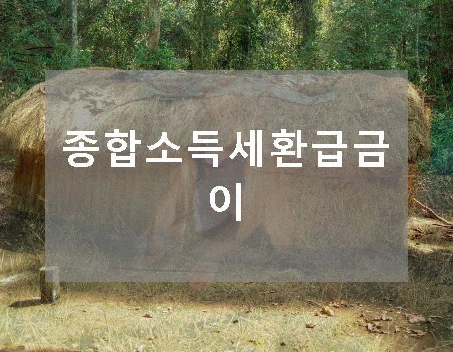 종합소득세 환급금 조회 및 신청 방법 2026년 총정리