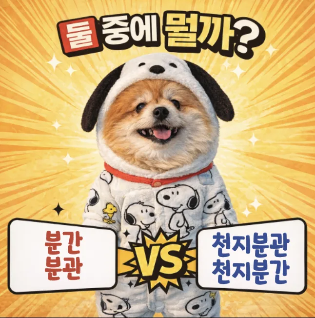 분간 vs 분관: 천지분간 올바른 표현 2026년 총정리