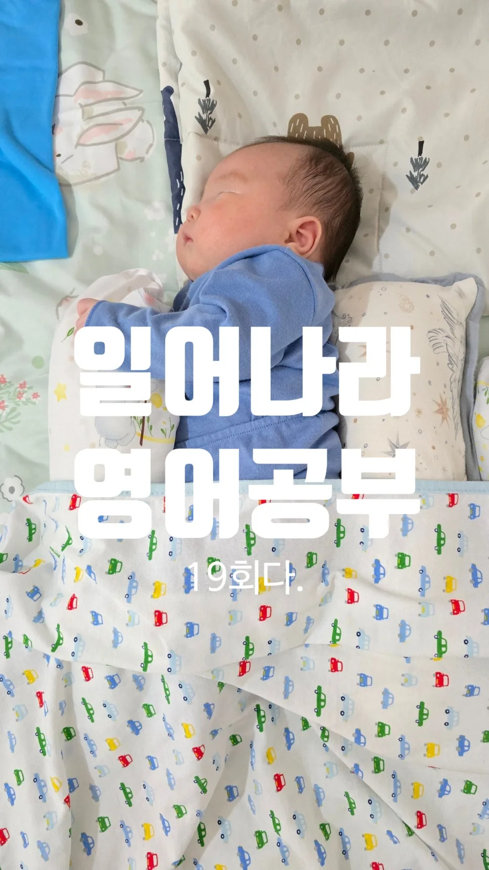 Learn Korean Fast: 5 Essential 'D' Words for 2026