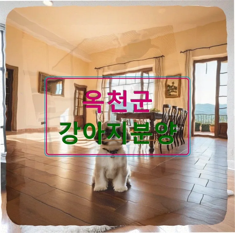비숑 분양 2026: 옥천군 입양 비용, 조건, 주의사항 총정리