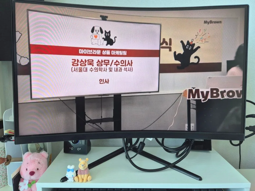 마이브라운 펫보험 서포터즈 1기 발대식 후기 (2026년 최신 정보)