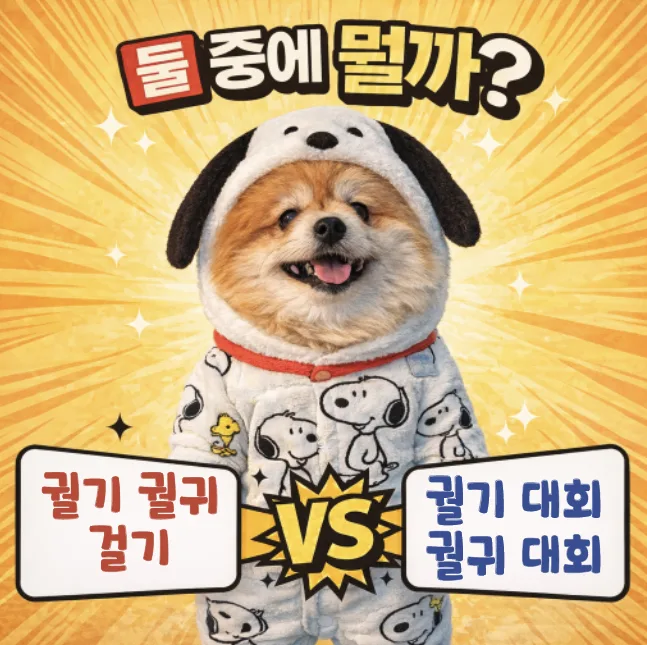 궐기, 궐귀, 걸기 중 올바른 표현은? 2026년 맞춤법 총정리
