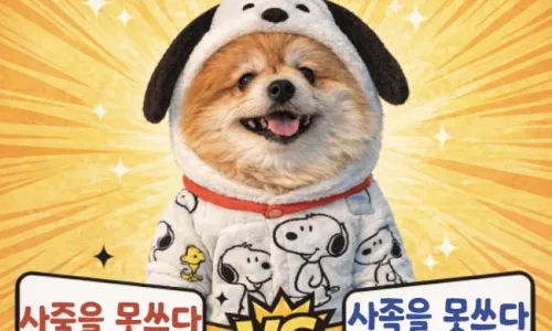 궐기, 궐귀, 걸기 중 올바른 표현은? 2026년 맞춤법 총정리 2