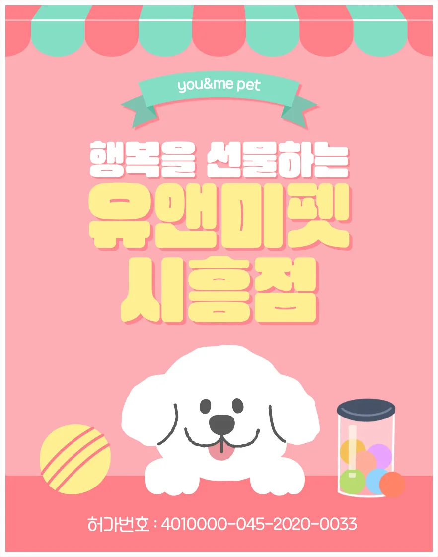 송파동 시츄 분양, 2026년 믿을 수 있는 선택 가이드 — 반려동물 — dbdosalvpt