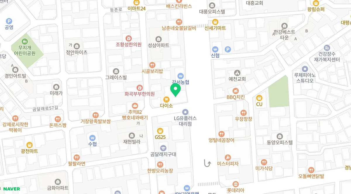 치과 공간의 힘 2026: 청결함과 식물이 주는 심리적 안정감 2