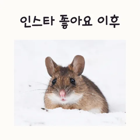 인스타 댓글 알림 끄는 법: 2026년 핵심 설정 가이드