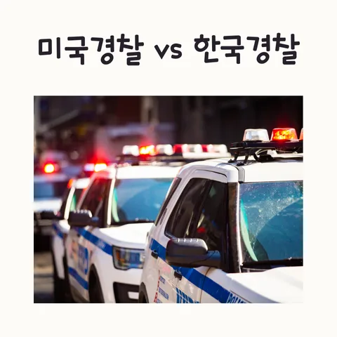 US vs. Korean Police Dramas: Competence vs. Reality 2026
