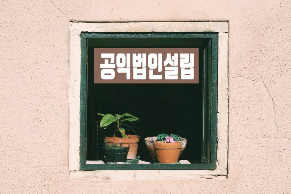 2026년 공익법인 설립 요건 및 절차 완벽 분석