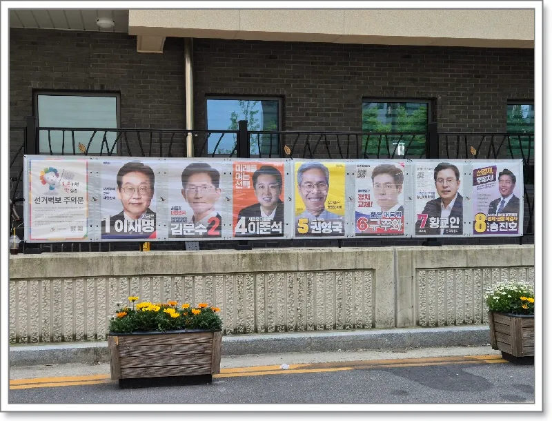 2025년 6월 3일 대통령 선거, 대한민국 변화를 위한 투표 가이드 2026