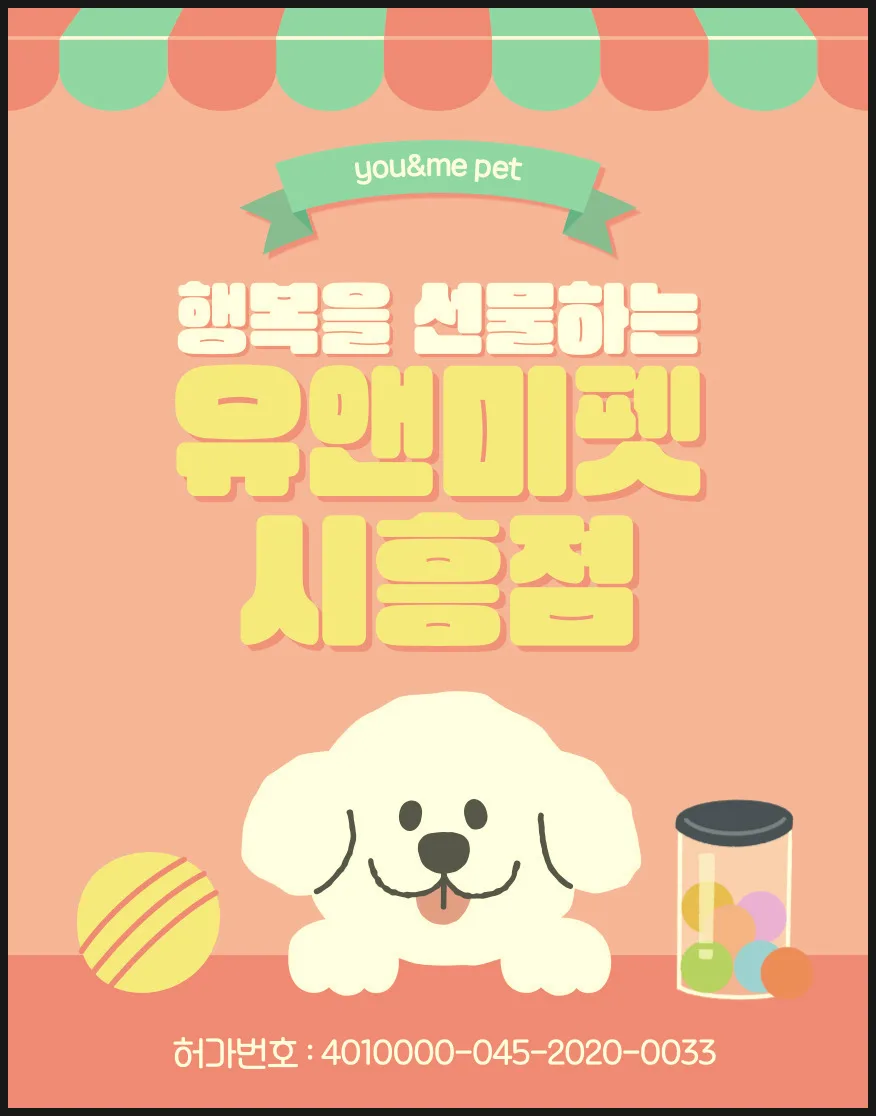 판교 비숑프리제 분양 2026: 유앤미펫 경험 기반 입양 후기