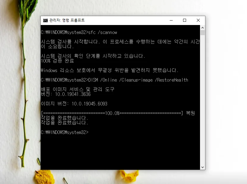 윈도우 작업표시줄 사라짐/먹통 해결법 2026년 총정리