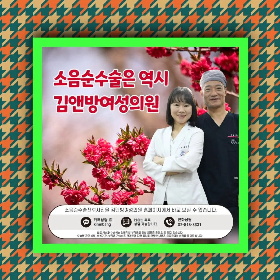 소음순수술 보험 적용 가능성 2026년 최신 정리