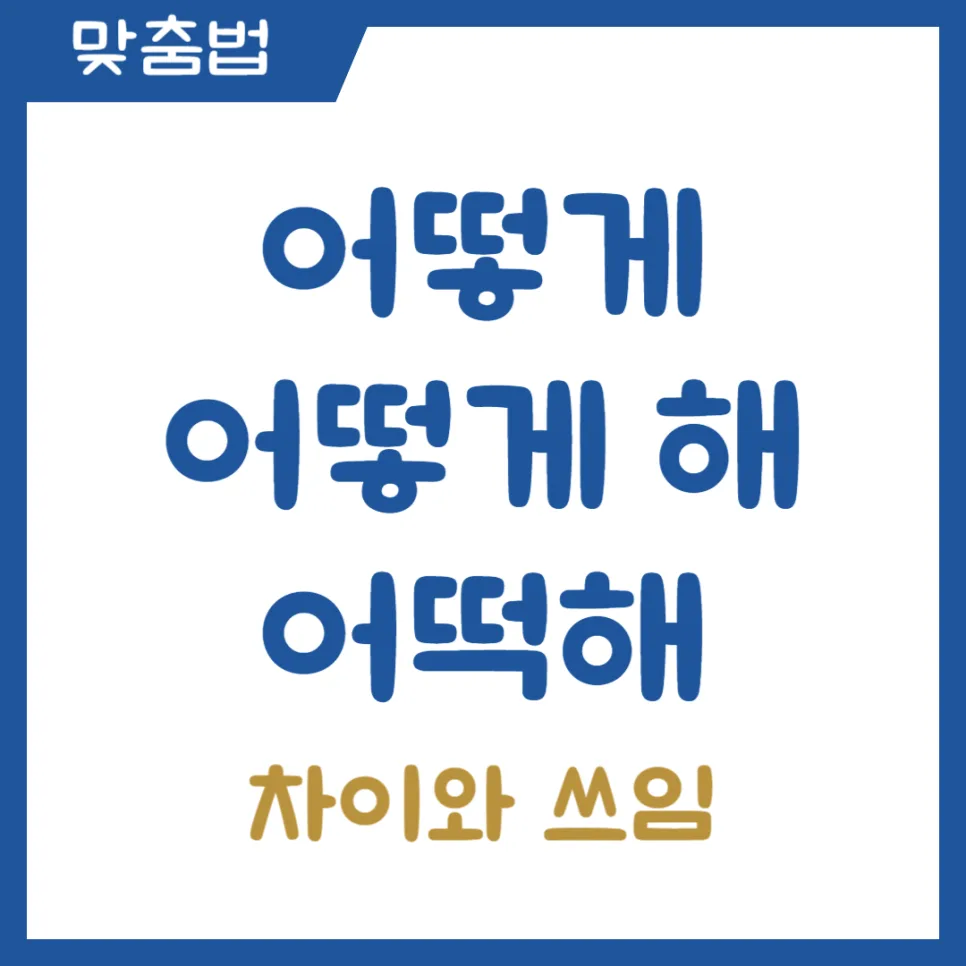 어떻게, 어떻게 해, 어떡해 차이점 2026년 완벽 정리