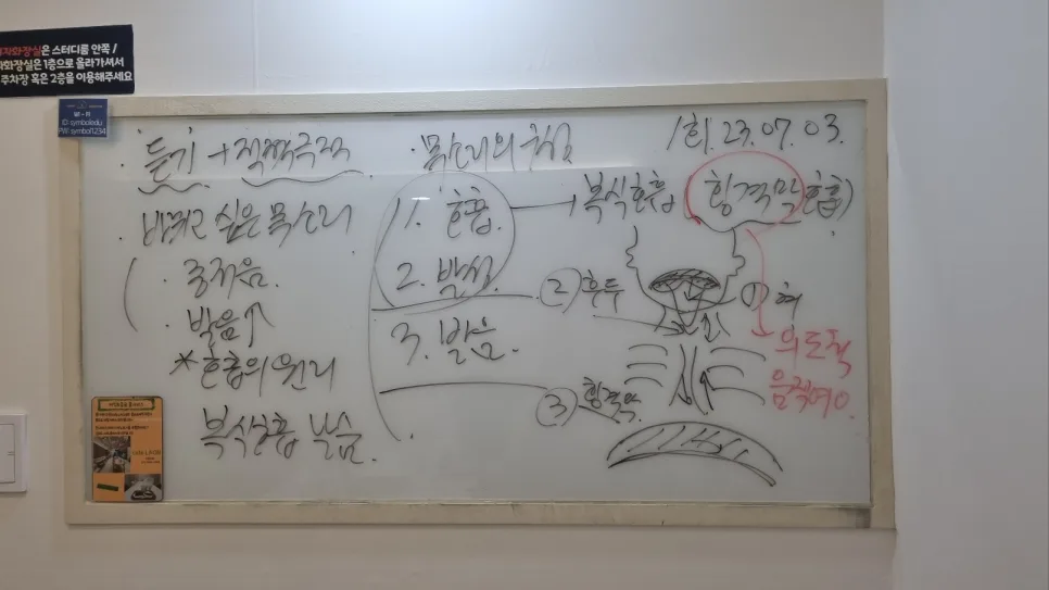작은 목소리 교정법: 복식호흡부터 발음까지 2026년 총정리 2