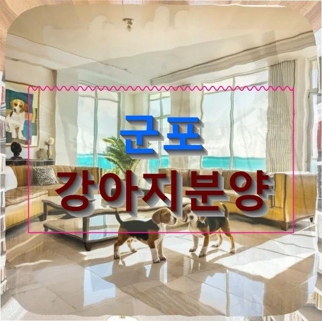 군포 비숑 분양 2026: 30대 1인 가구의 반려견 선택 가이드